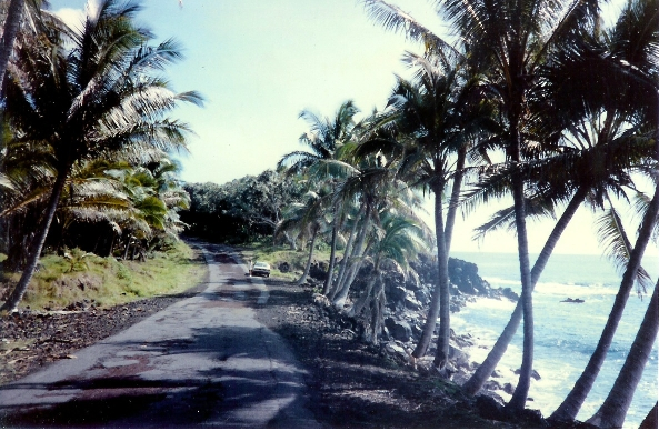 BIG ISLAND COURIER SERVICE Logo