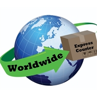Express Courier Logo