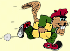 Beaver Express Inc Logo